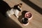 A double bowl for slow feeding and a bowl of water for the dog. Top view of a jack russell terrier dog near a pink plate