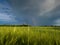 A double bright colorful rainbow in front of gloomy ominous clouds above an agricultural field planted with sunlit wheat during a