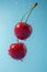 Double Cherries in Mid-Air with Water Splashes