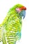 Double exposure. Photograph of a tropical parrot combined with bright green leaves