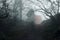 A double exposure of a scary half transparent hooded figure standing on a path in a dark moody forest. Over layered with a hiker