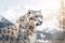 Double exposure of snow Leopard and frozen forest with snowfall and sunny mountains behind