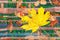 Double exposure of yellow maple leaf and Indian textile rug handmade