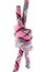 Double Fisherman\'s knot