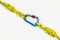 Double Flemish loop or figure eight 8 knot with new colored aluminum carabiner. equipment use for attaching rope to