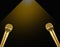 Double Gold Microphone with warm light on black background.