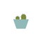 Double green cartoon cactus plant in one blue pot - two potted cacti