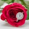 Double Halo Diamond Engagement Ring in Red Rose