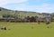 A double headed diesel train pulling goods wagons in a remote region of New Zealand