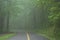 Double lane rural road leading into dark foggy summer forest