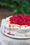 Double layered Pavlova on serving table