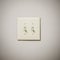 Double Lightswitch on White Wall