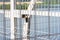 Double metal fence, access to the river, heavily blurred background, territory free of COVID-19