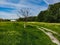 Double path next to old dry tree at green clearing between trees