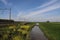 Double railroad track between Gouda and Rotterdam at Moordrecht in the Zuidplaspolder, the lowest area of western Europe