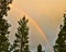 Double Rain Bow and Pine Trees, Montana.
