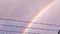 Double rainbow behind rows of a barbed wire against cloudy sky