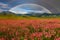 Double rainbow over blooming mountain valley