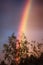 Double rainbow over forest