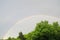 Double rainbow over green trees