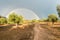 Double rainbow over an organic olive farm, Spain