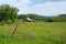 Double Set of Barns With A View