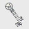 Double silver key with pirate symbols, cartoon