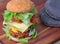 Double stacked crispy fried chicken burger recipe as sunny egg,cheese,mayonnaise, tomato sauce and lettuce