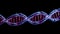Double stranded DNA on black background . Created by generative AI