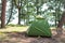 Double tent in the forest