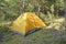 Double tent in a pine forest, yellow tourist tent