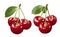 Double triple sweet red cherry set  isolated on white background