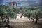 Dougga, Tunisia, Tunis - Ancient Roman city