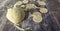 Dough circles on a wooden table.  Potato dumplings