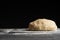 The dough lies on a board with flour. On a black background. cooking bread, focoque, pizza, pasta. Baking and cooking. bakery