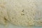 Dough for naturally leavened pizza. Close-up mother past. Food, italian cuisine and cooking concept