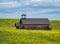 Douglas Hollow School sitting in a field of blooming Canola