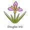 Douglas iris plant purple color icon. California blooming wildflower with name inscription. Garden flower, weed. Iris