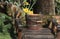 Douglas Squirrel on Wood Bridge Looking into Wood Bucket