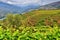 Douro Valley landscape