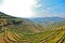Douro Valley: Vineyards near Duero river around Pinhao, Portugal
