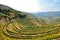 Douro Valley: Vineyards near Duero river around Pinhao, Portugal