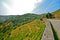 Douro Valley: Vineyards near Duero river around Pinhao, Portugal