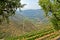 Douro Valley: Vineyards near Duero river and Pinhao, Portugal