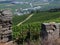 Douro vineyard