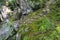 Dovbush Rocks, huge stones, rocks, moss, roots in the moss, trees among the rocks,moss, object, nature, tree, forest, rock