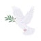 Dove Bird Carries an Olive Branch