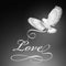 Dove bird of love