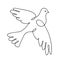 Dove. Continuous line art drawing. Pigeon. Vector logo illustration