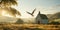 Dove flying over an old little church in the countryside.